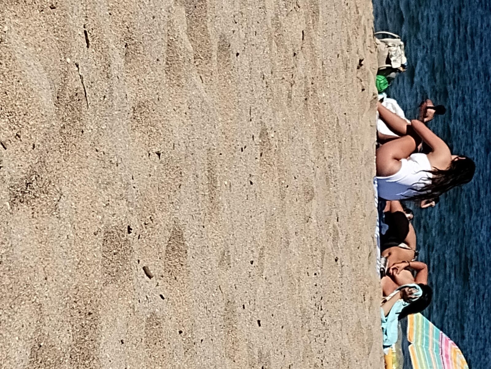 Coquines a la plage de frejus