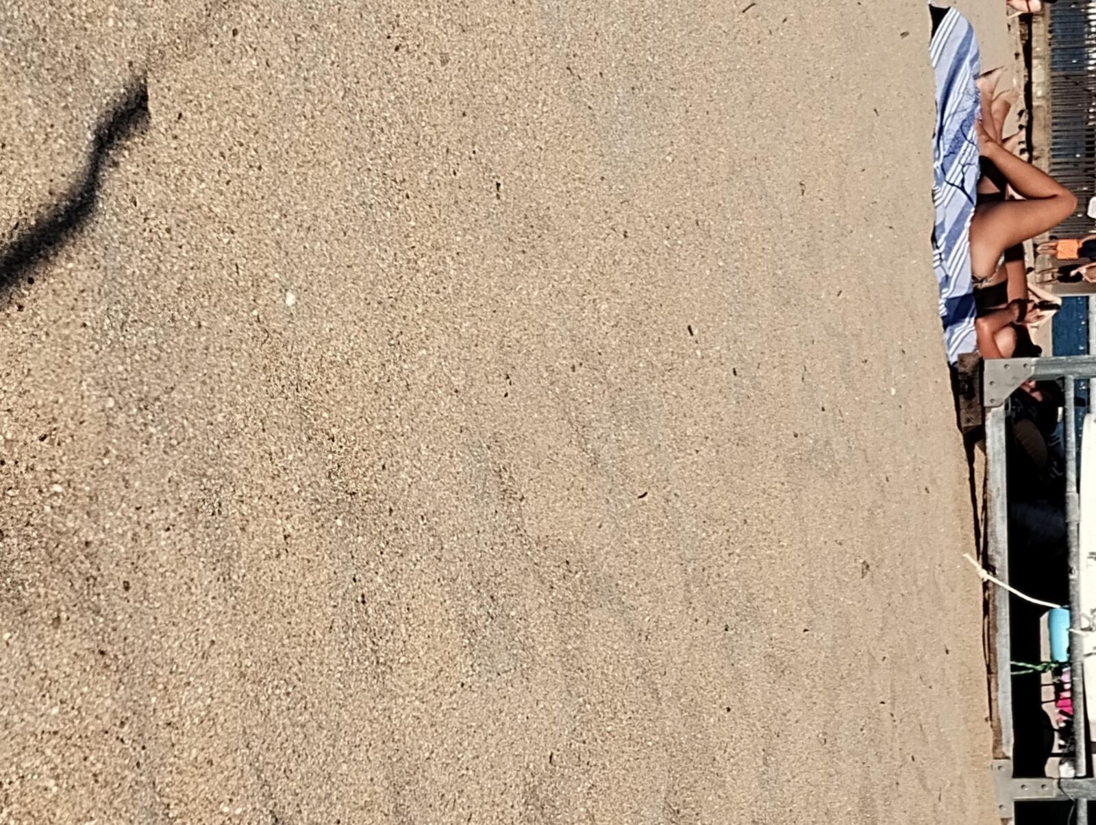 Coquines a la plage de frejus