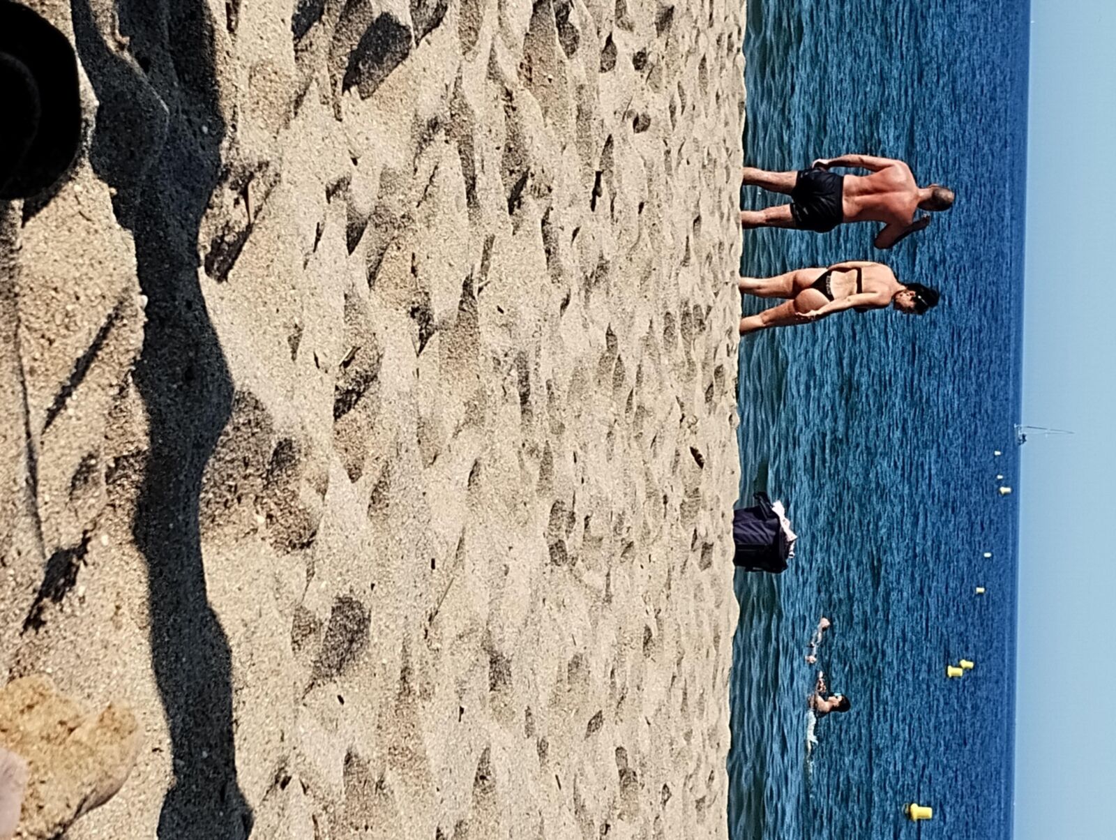 Coquines a la plage de frejus