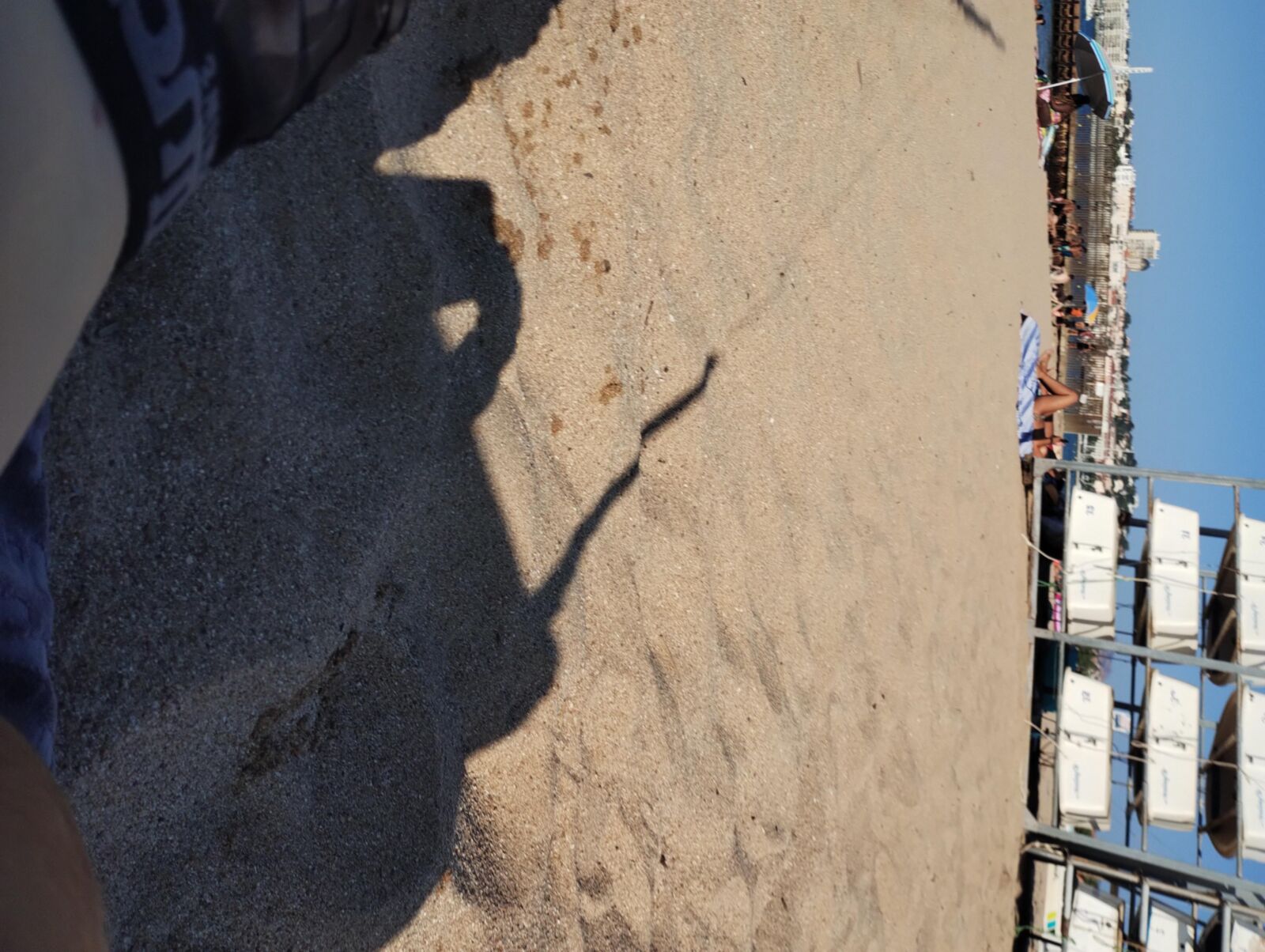 Coquines a la plage de frejus