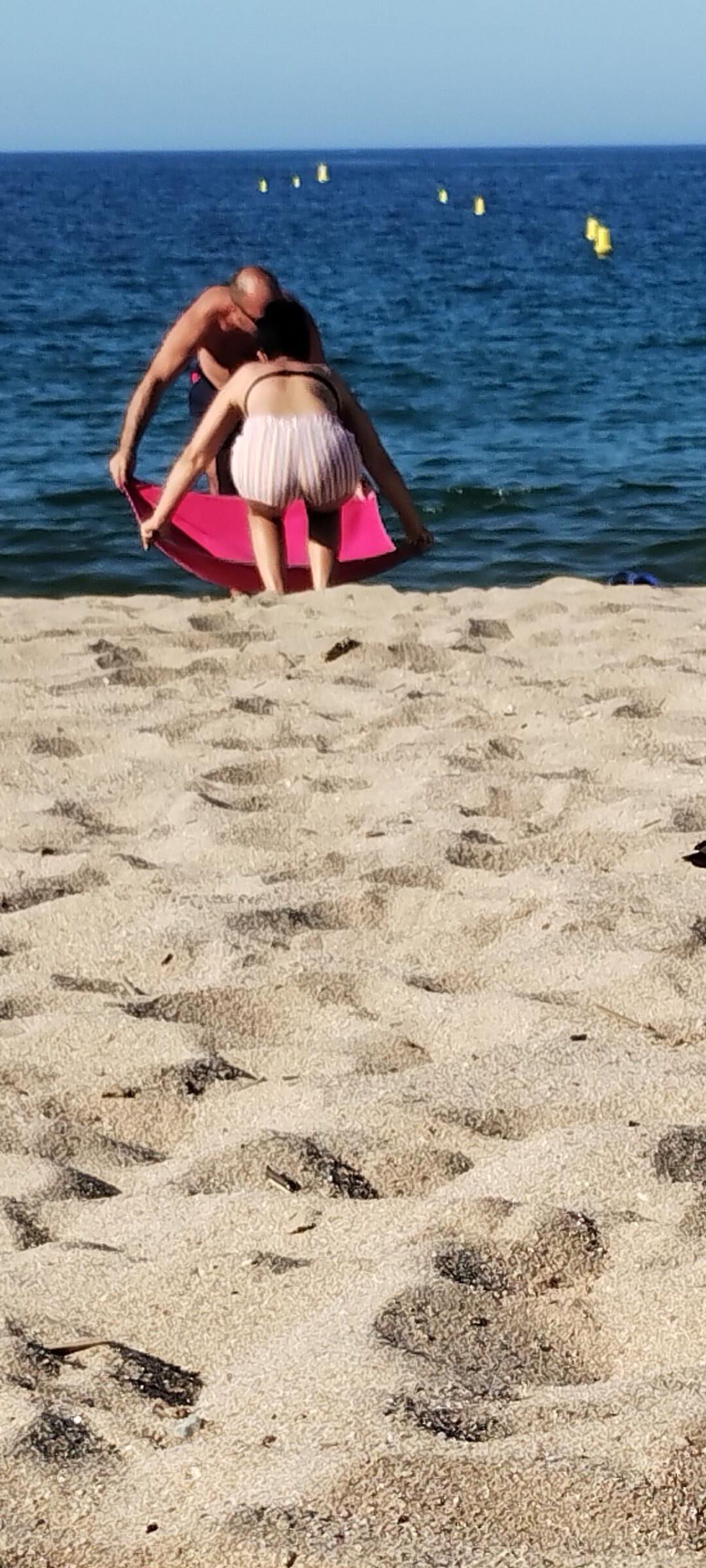 Coquines a la plage de frejus