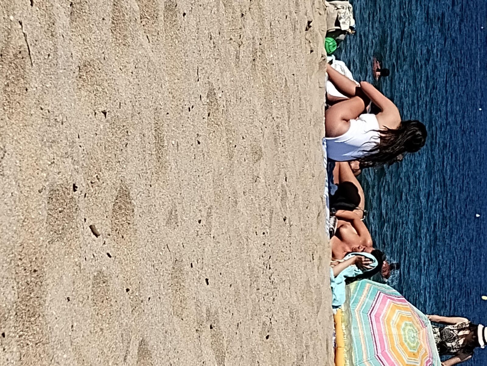 Coquines a la plage de frejus