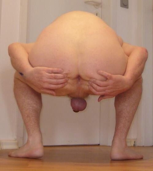 ピギー氏の写真