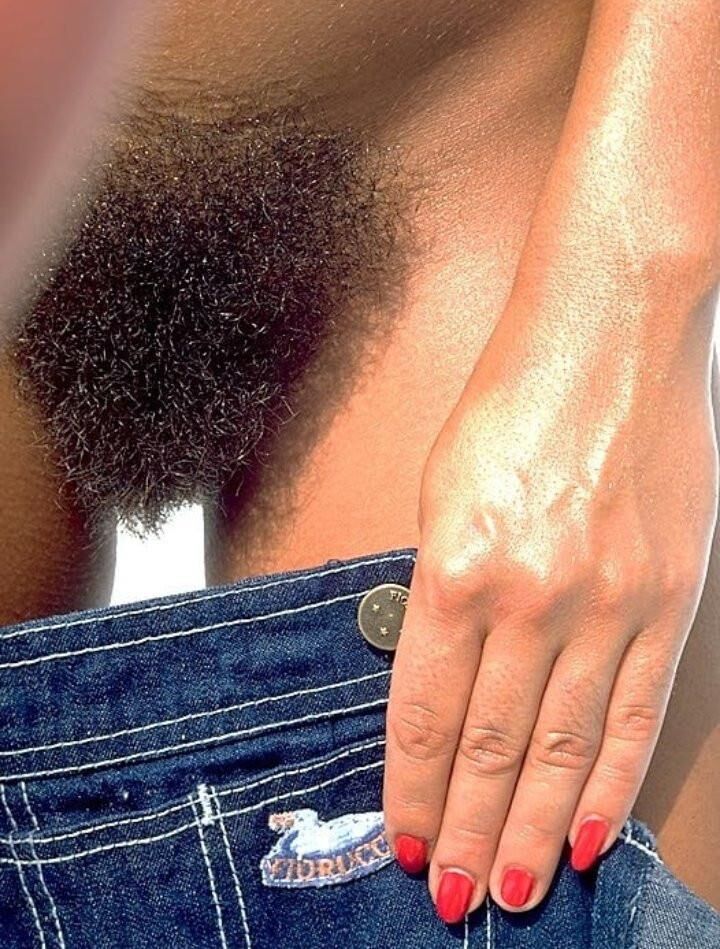 Solo arbusto