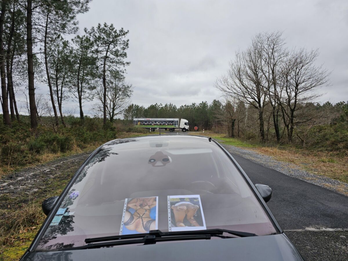 Fotos impresas para exhibir al aire libre en lugares públicos para hombres