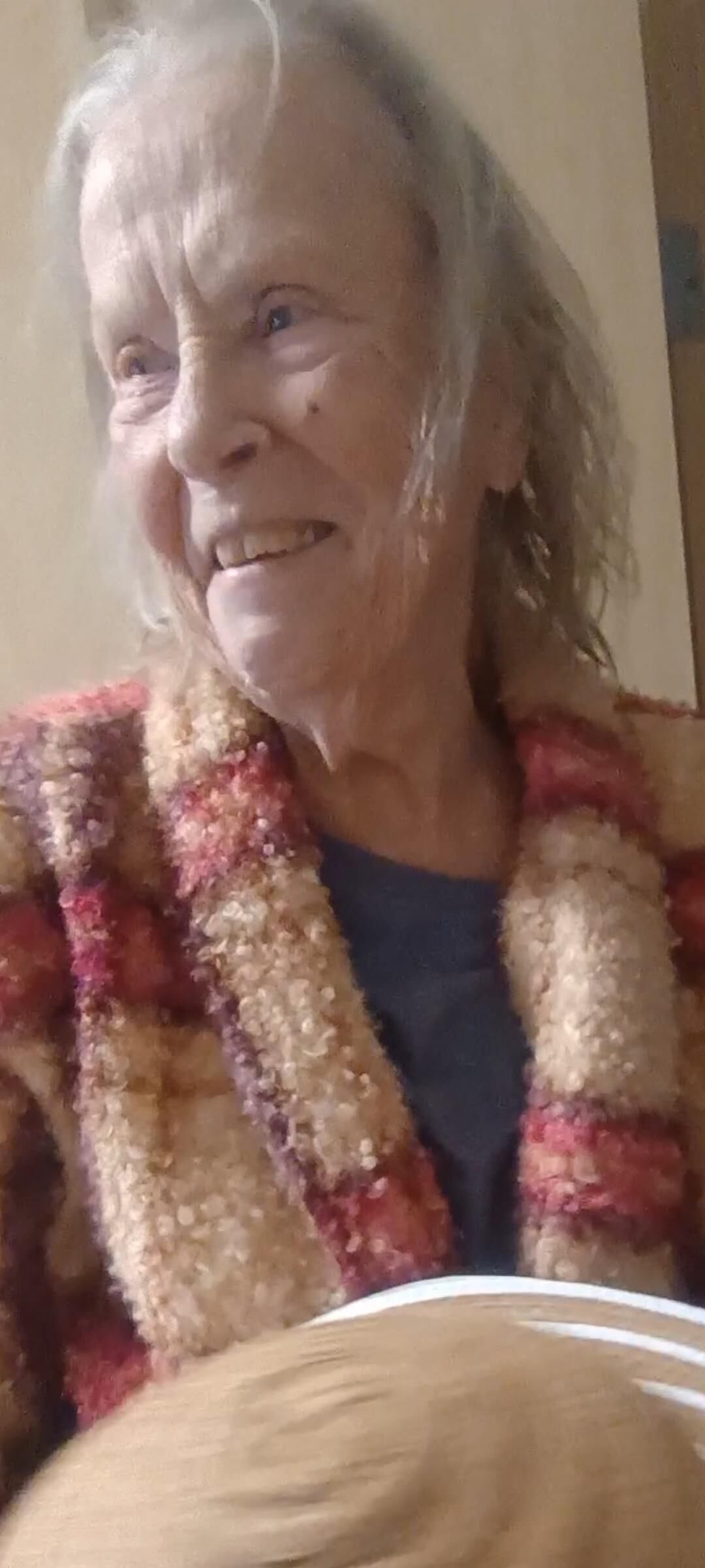 Granny Visit nn
