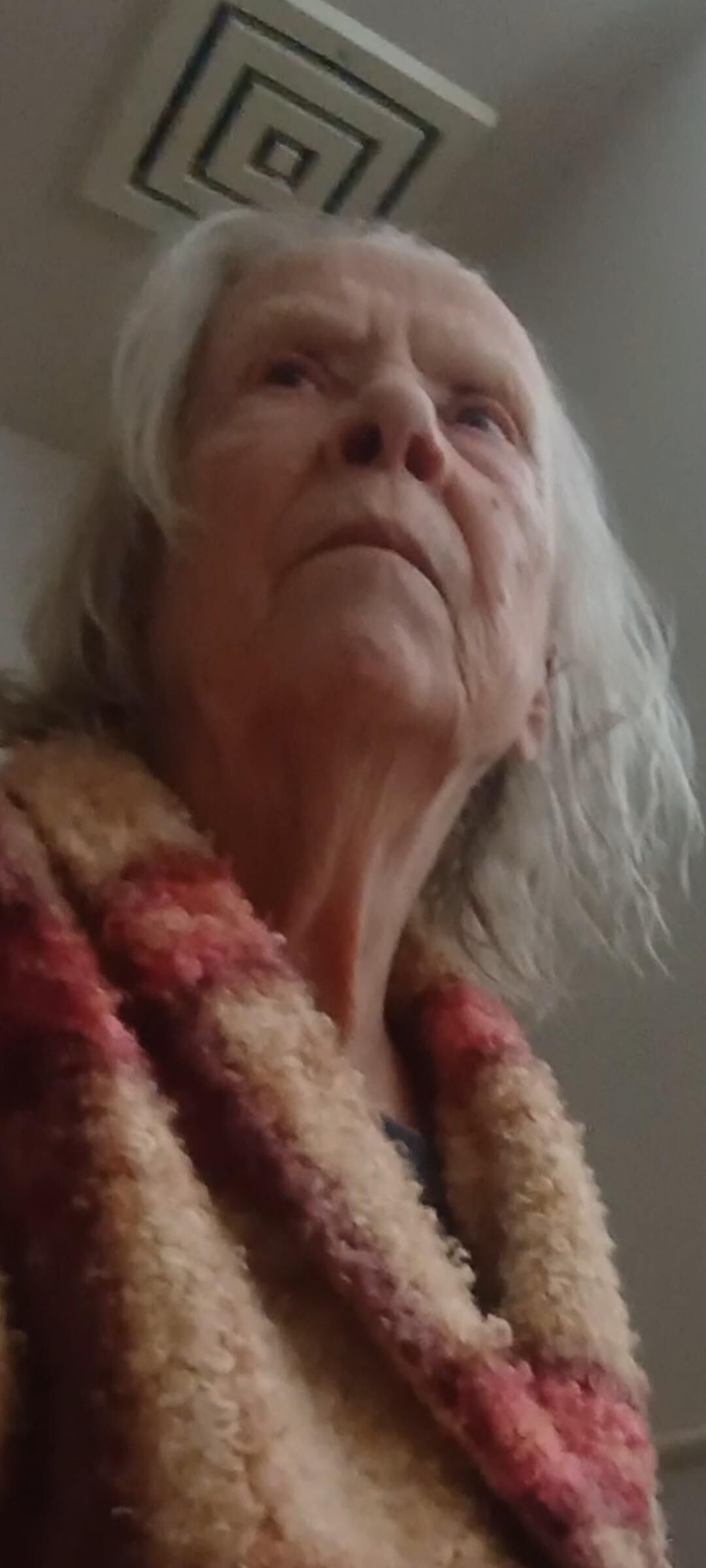 Granny Visit nn