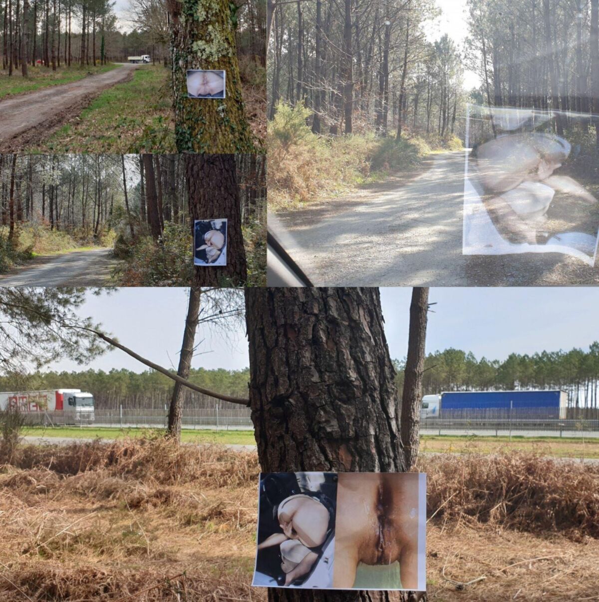 Fotos impresas para exhibir al aire libre en lugares públicos para hombres