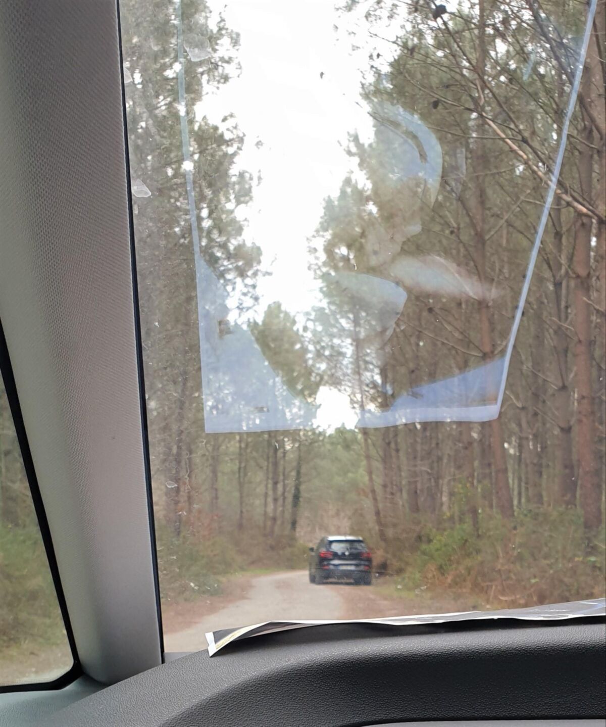 Fotos impresas para exhibir al aire libre en lugares públicos para hombres