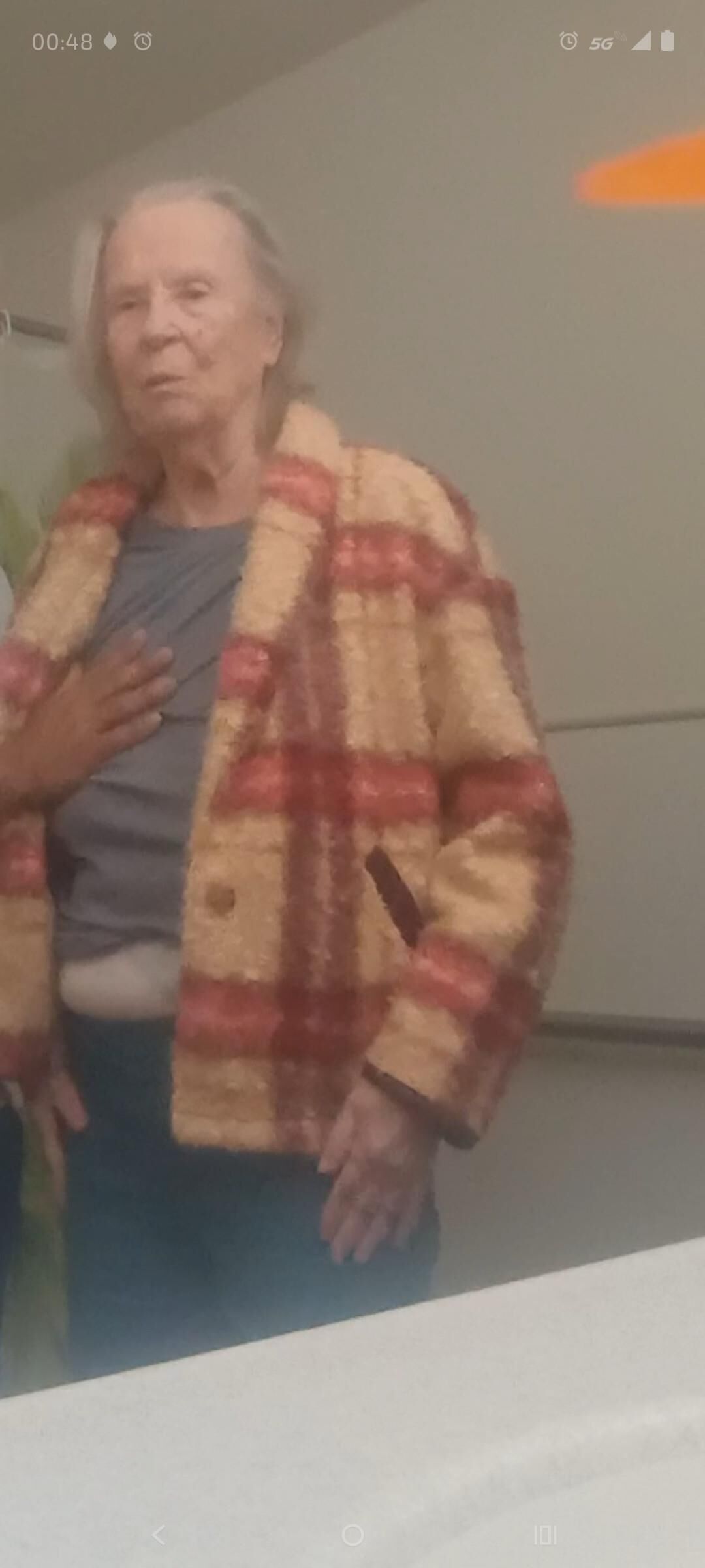 Granny Visit nn
