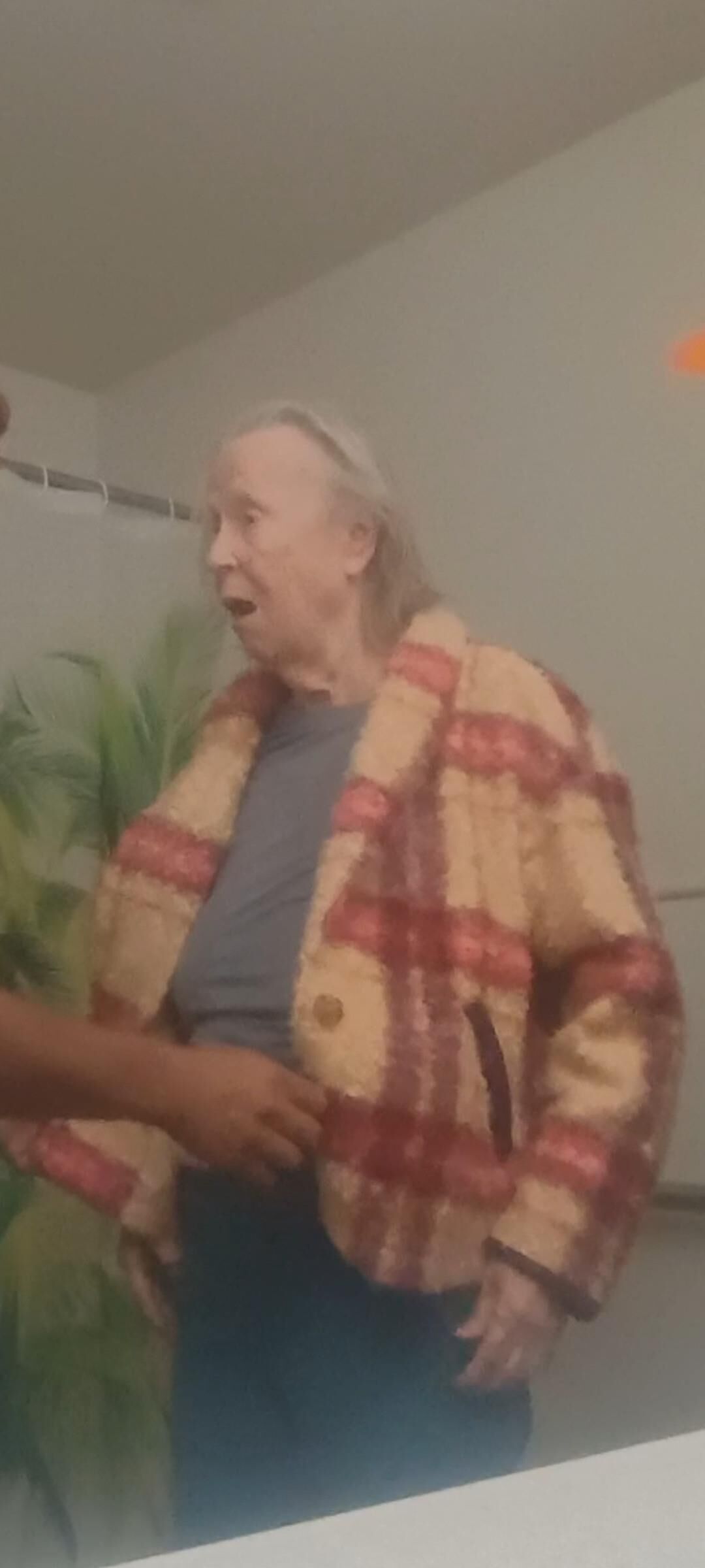 Granny Visit nn