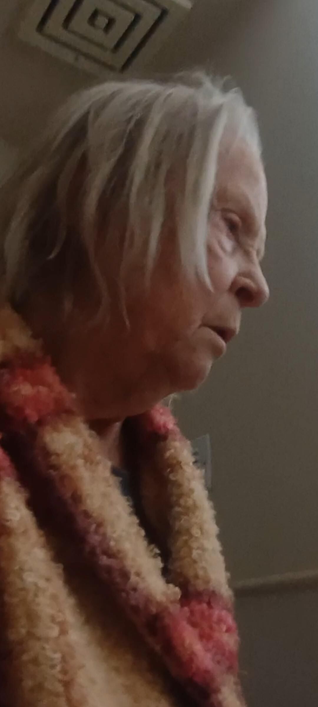 Granny Visit nn