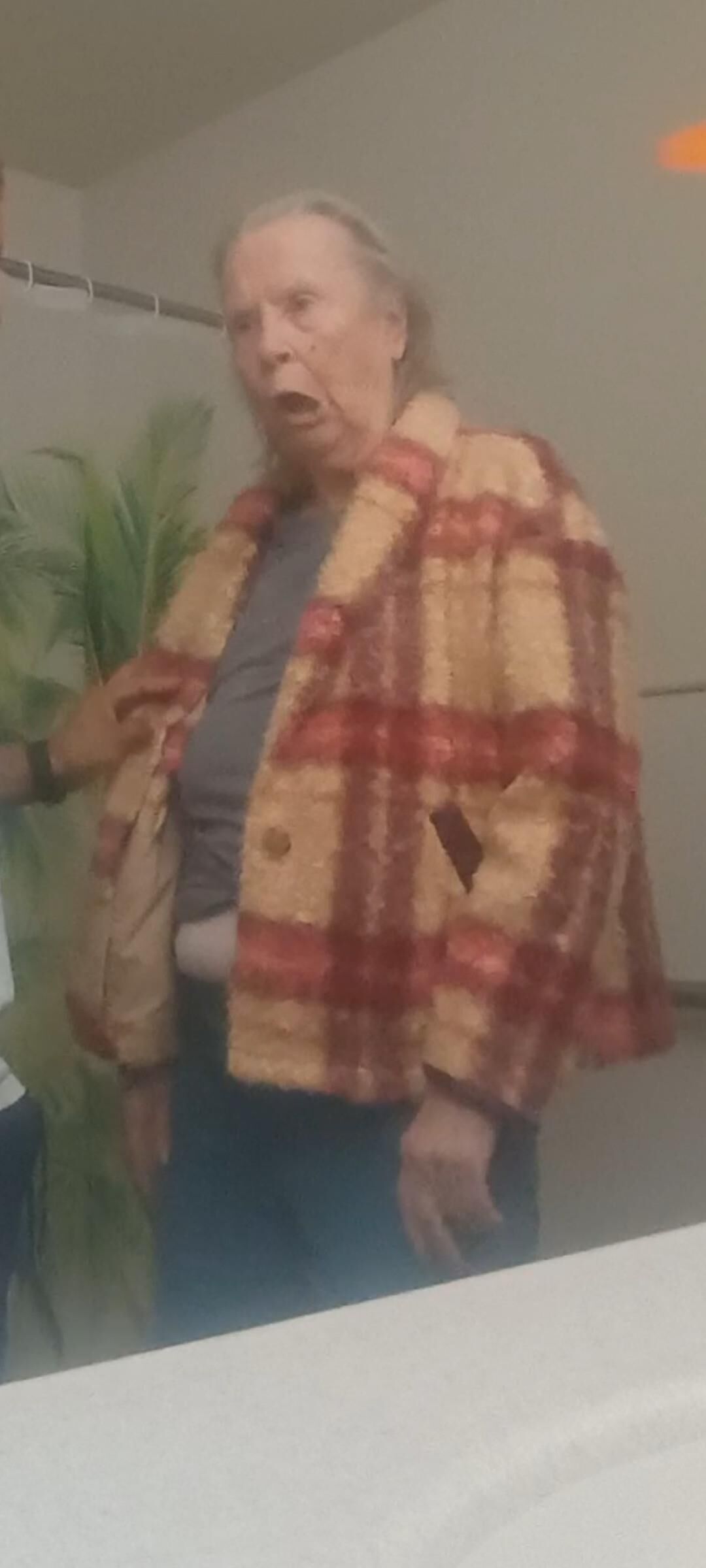 Granny Visit nn