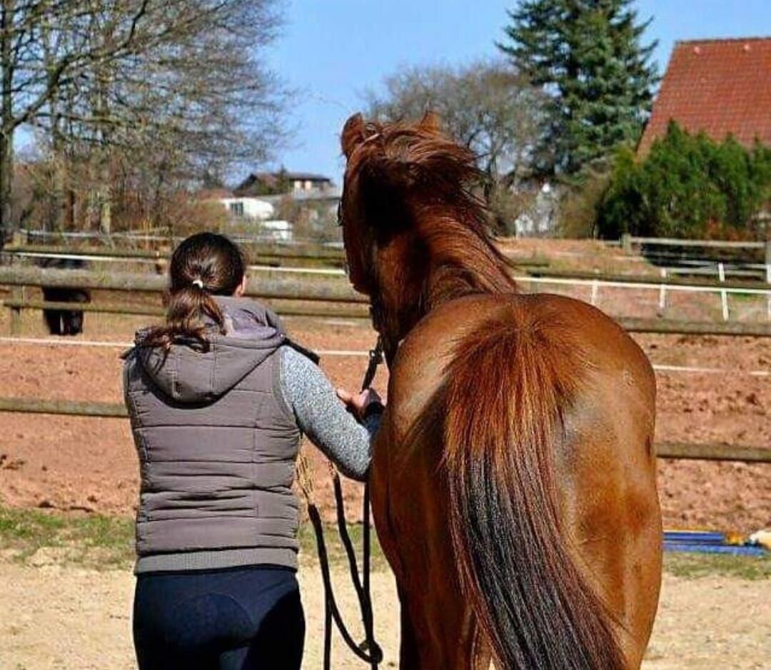 putas y sus animales