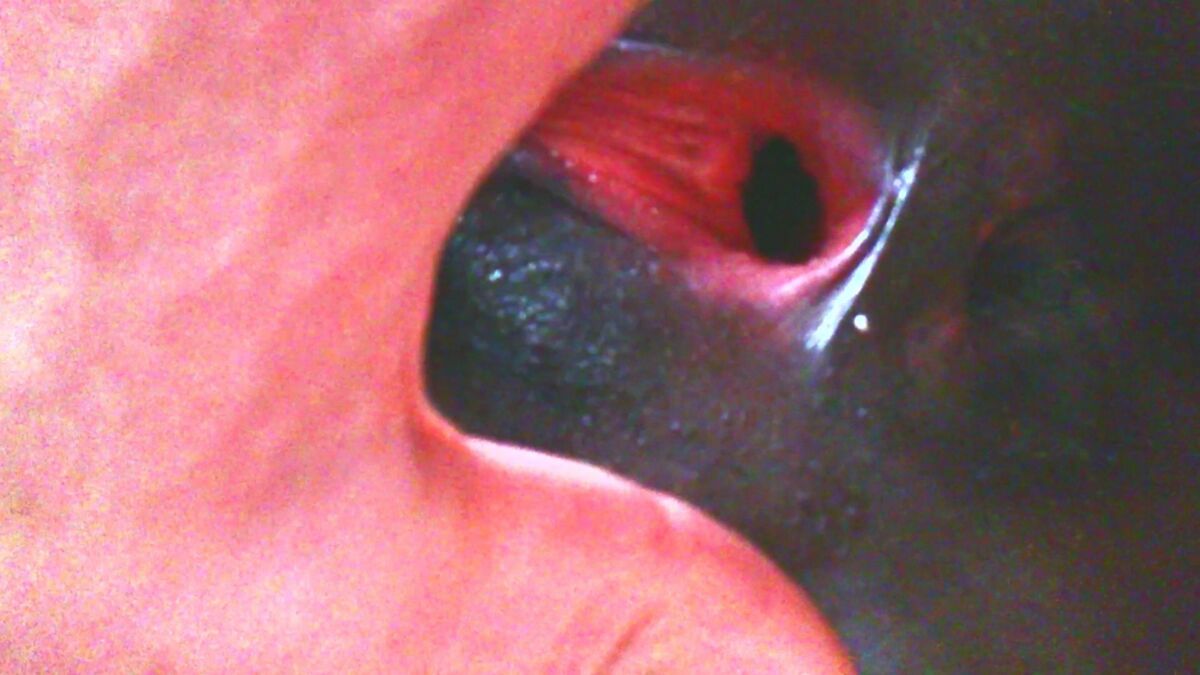 T in V 