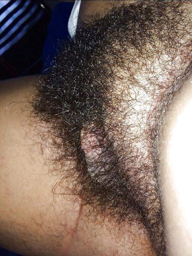 Cooter peludo regordete