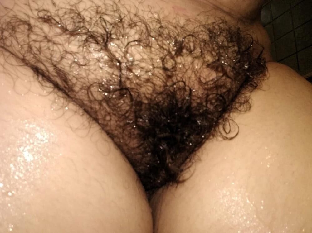 Cooter peludo regordete