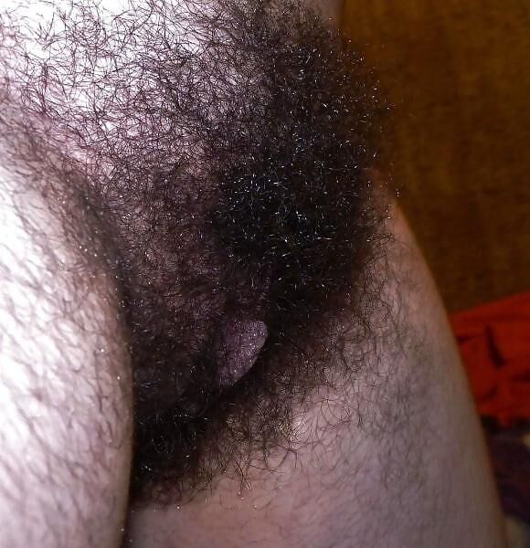 Cooter peludo regordete
