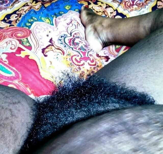 Cooter peludo regordete