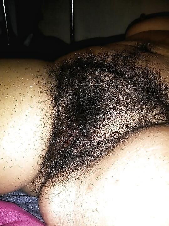 Cooter peludo regordete
