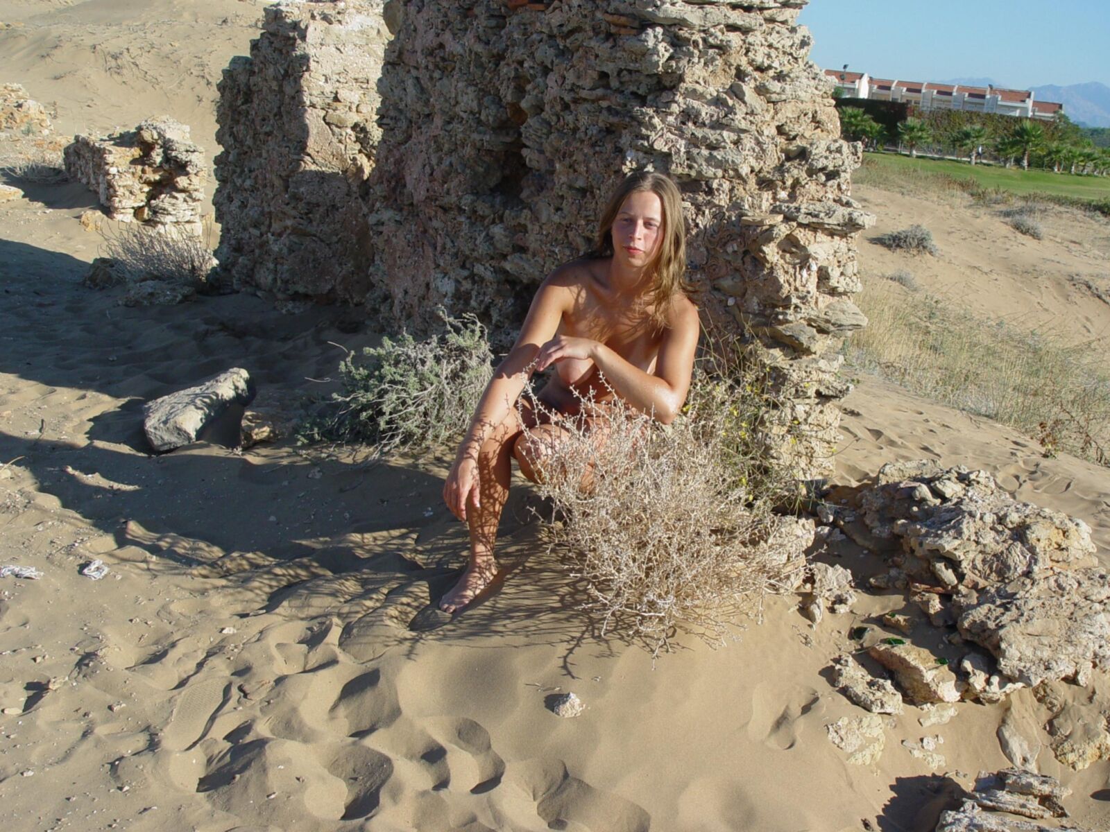 A desert flower
