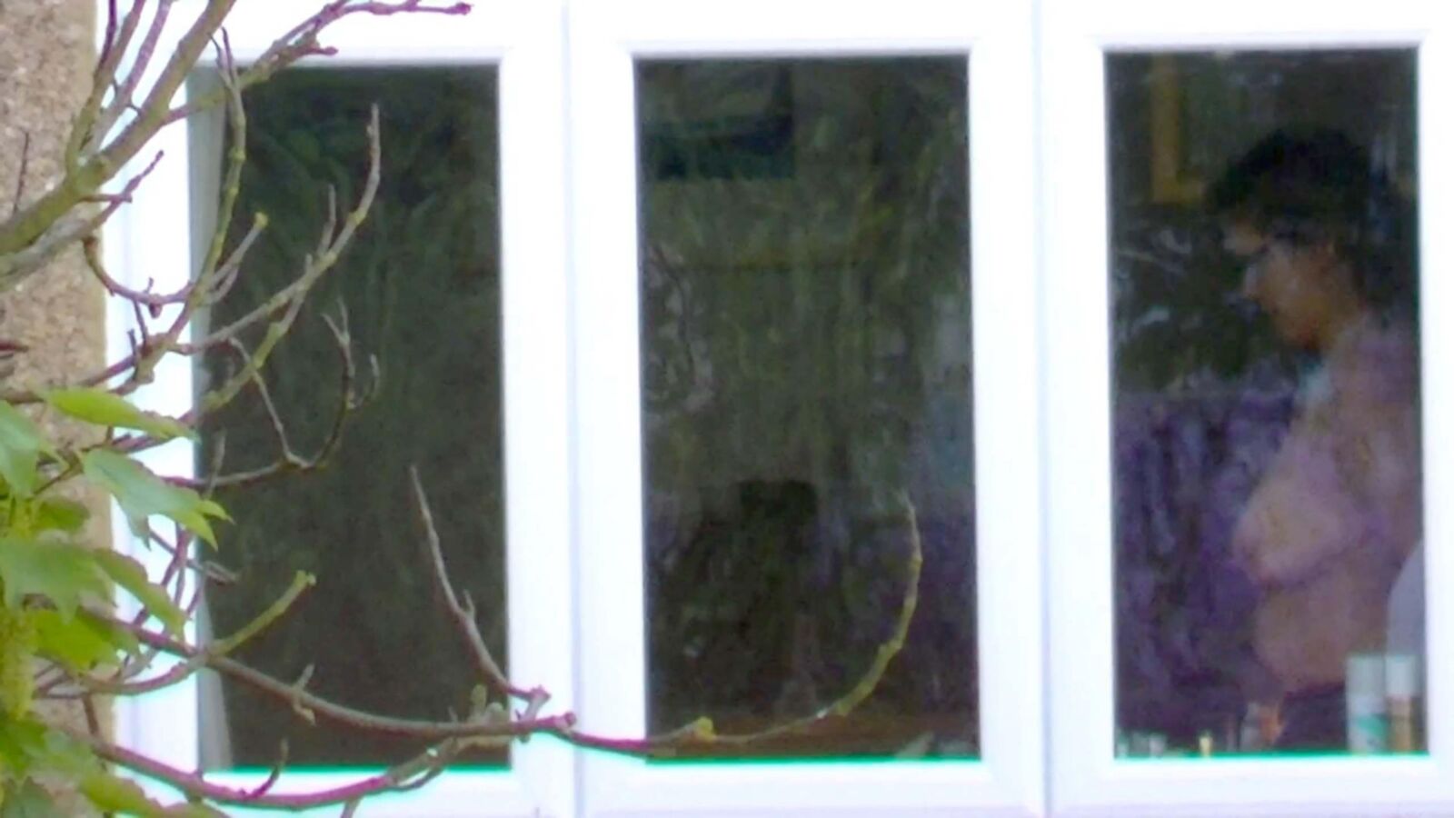 Spying through windows 
