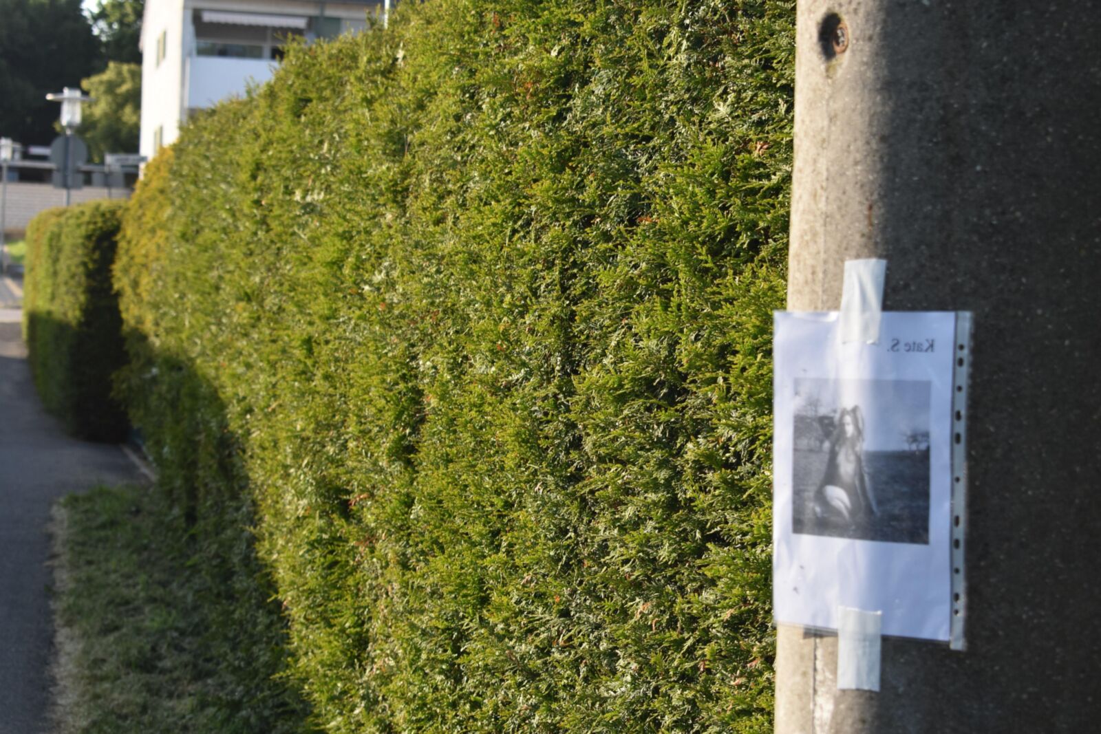 Kate exposed in my neighbourhood