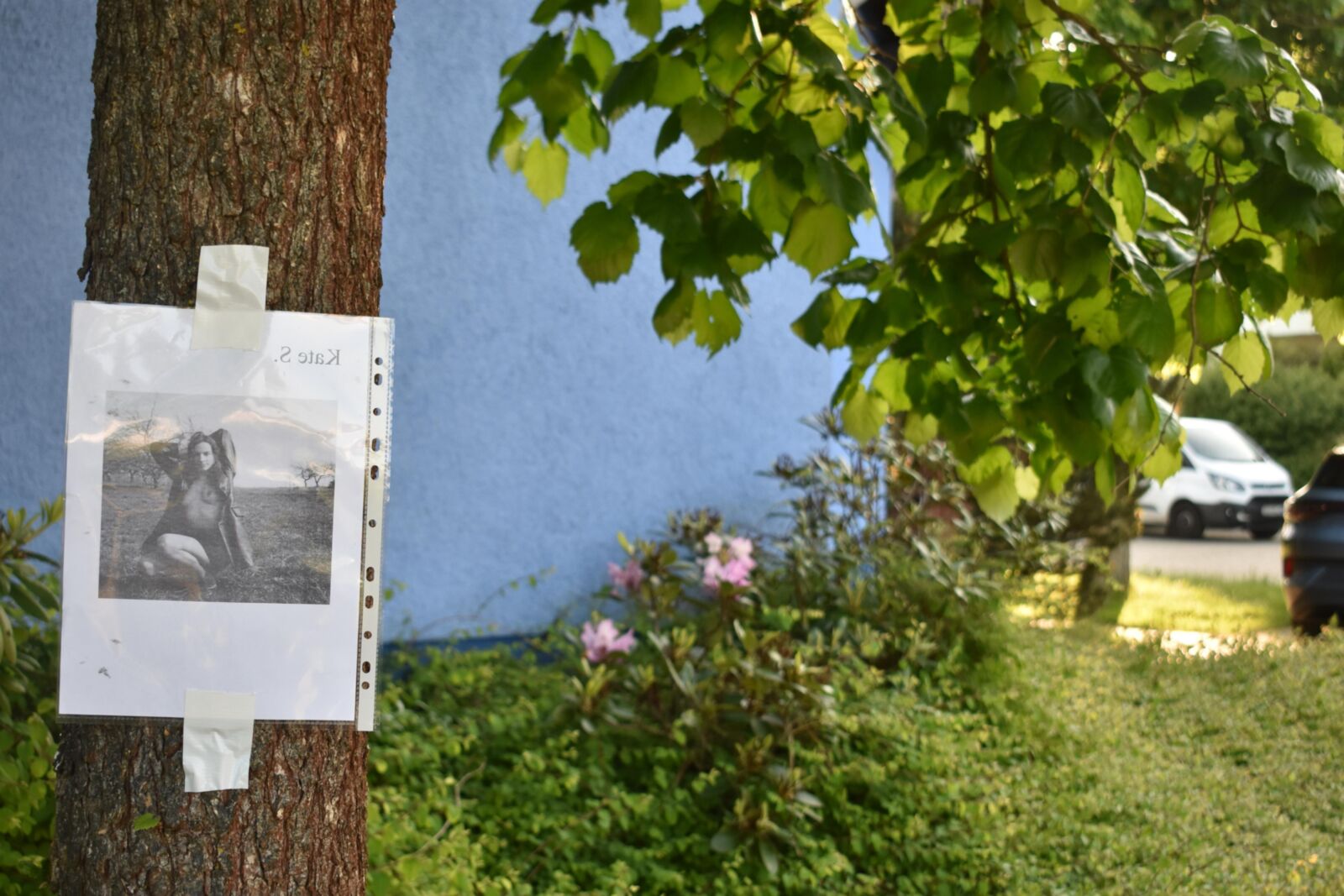 Kate exposed in my neighbourhood