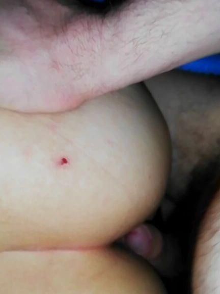 Cadelas peludas