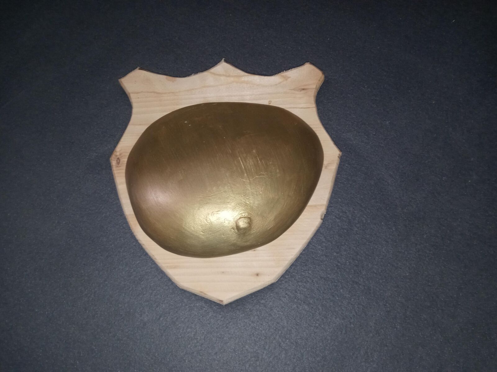 Mein Busen als Gipsabdruck!