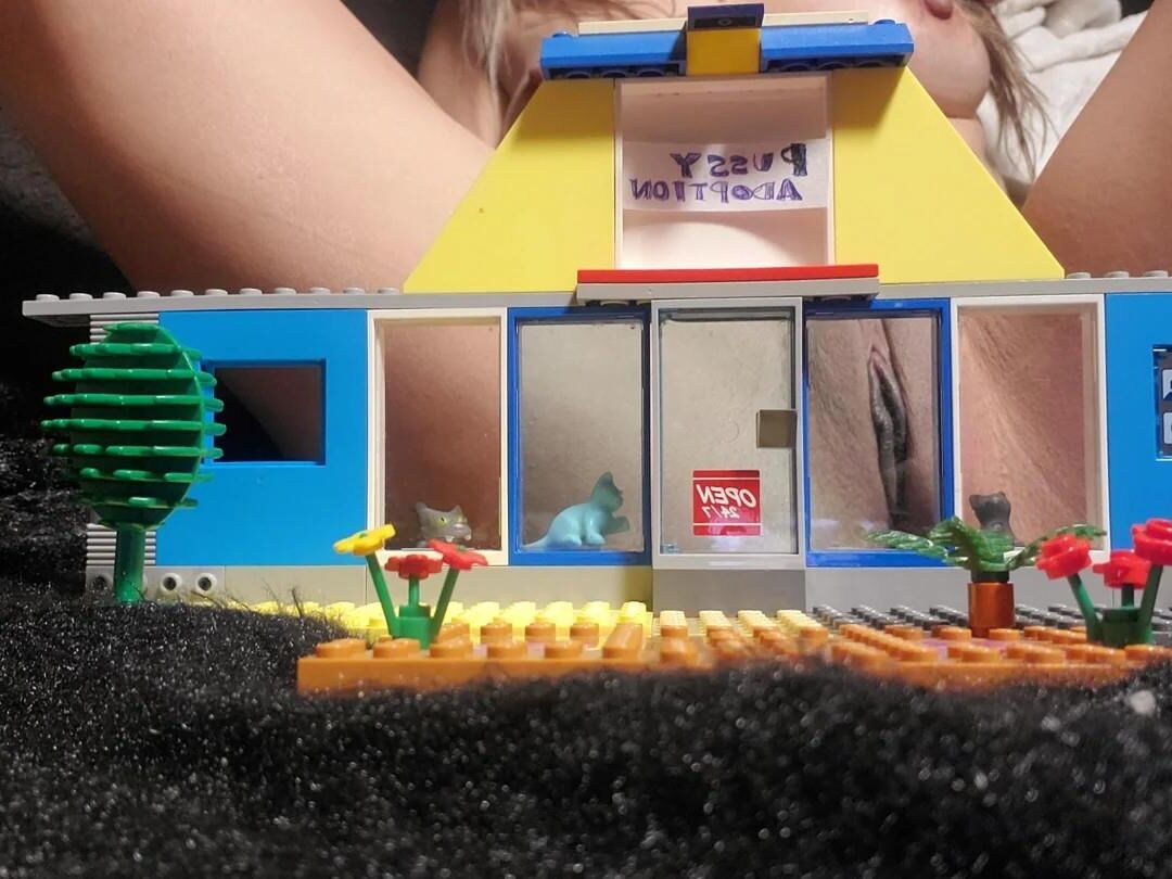 Lego NSFW Figurines on sexy bodies 
