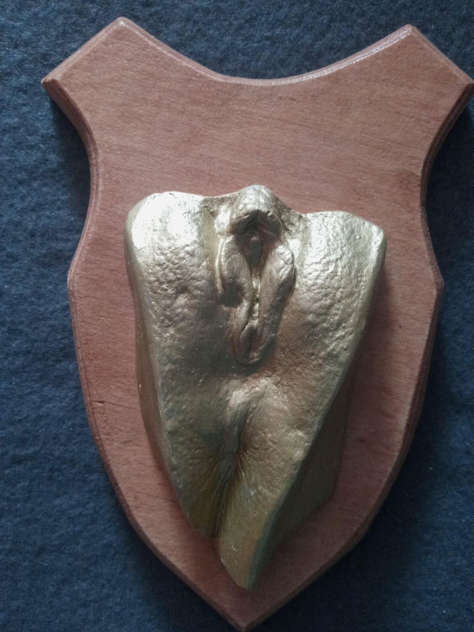 Die Vagina in Jungen Jahren als Gipsabdruck