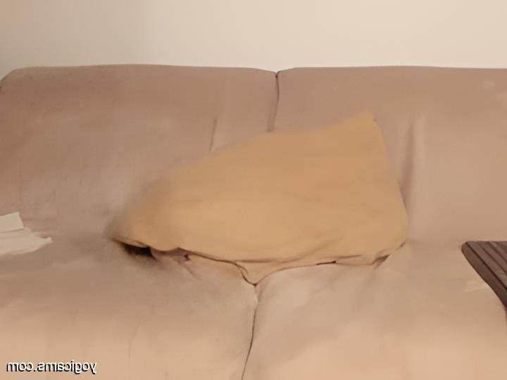 Best Of Amateur Trans 