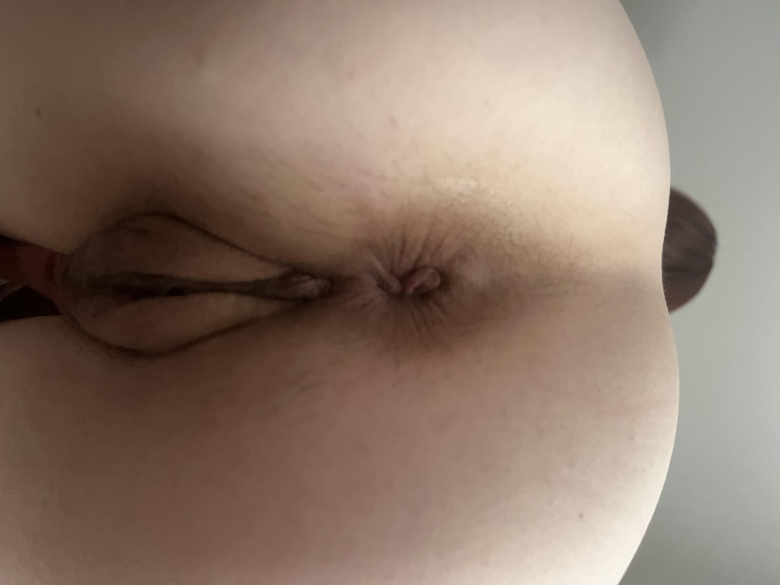 Dona de casa Butthole hoje (agosto)