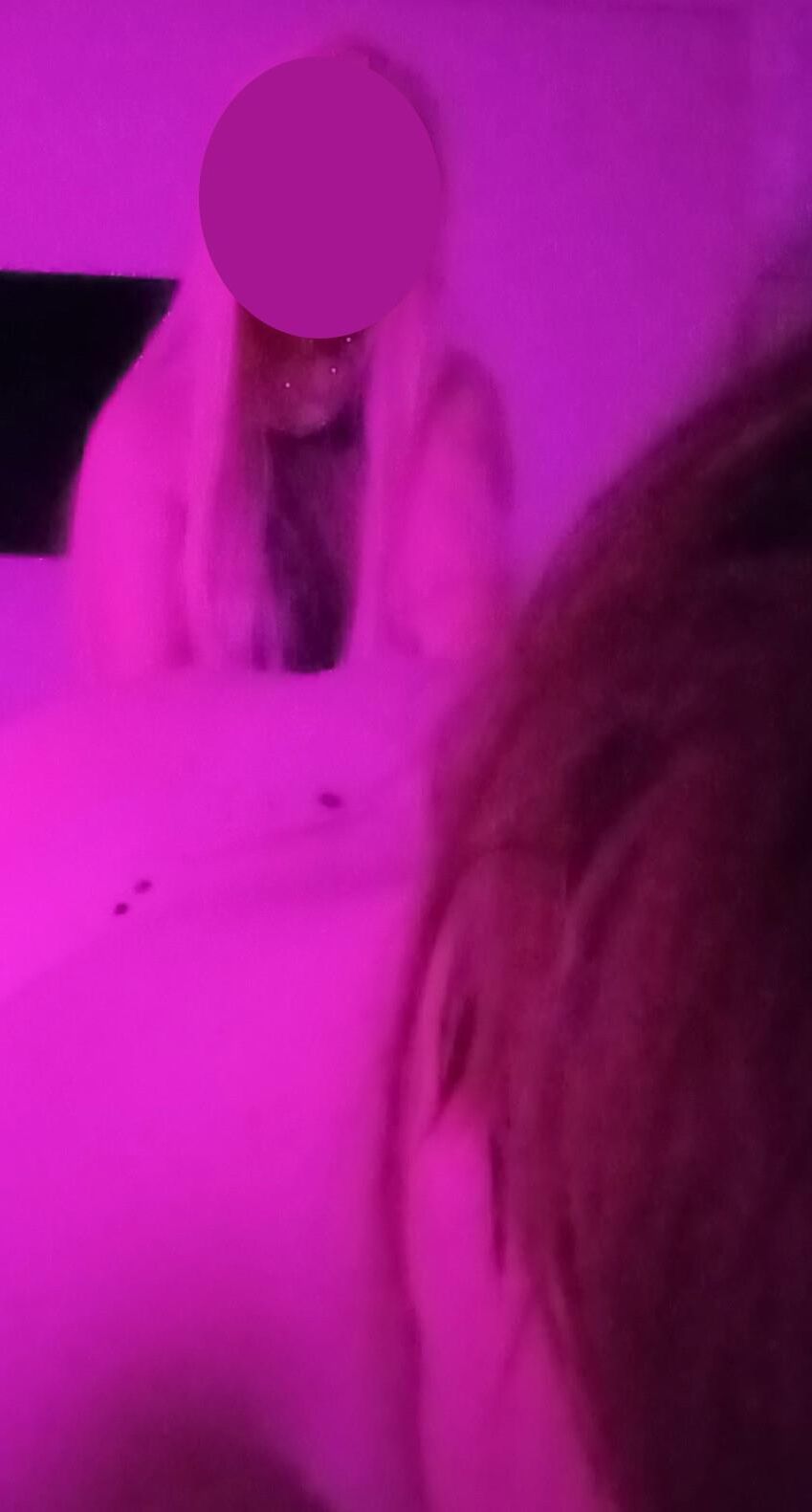 Femboy -Sitzung mit Herrin / Wachs Play / Anal Play / Kragen