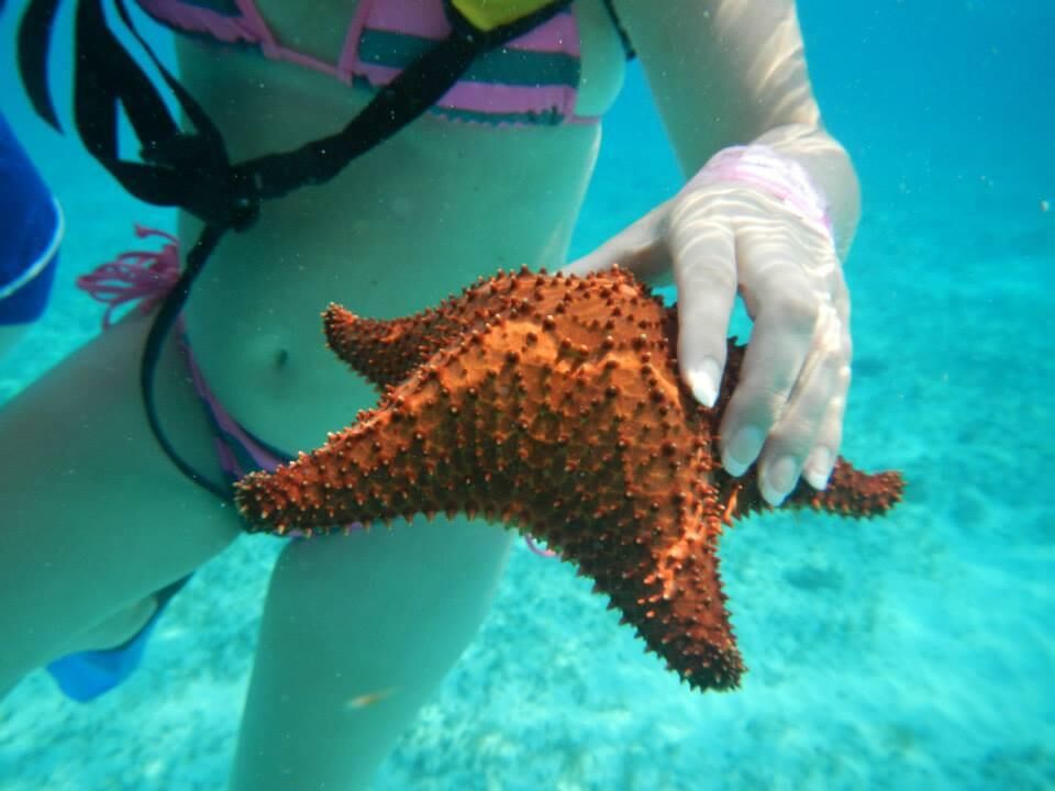 Mein Ex im Bikini