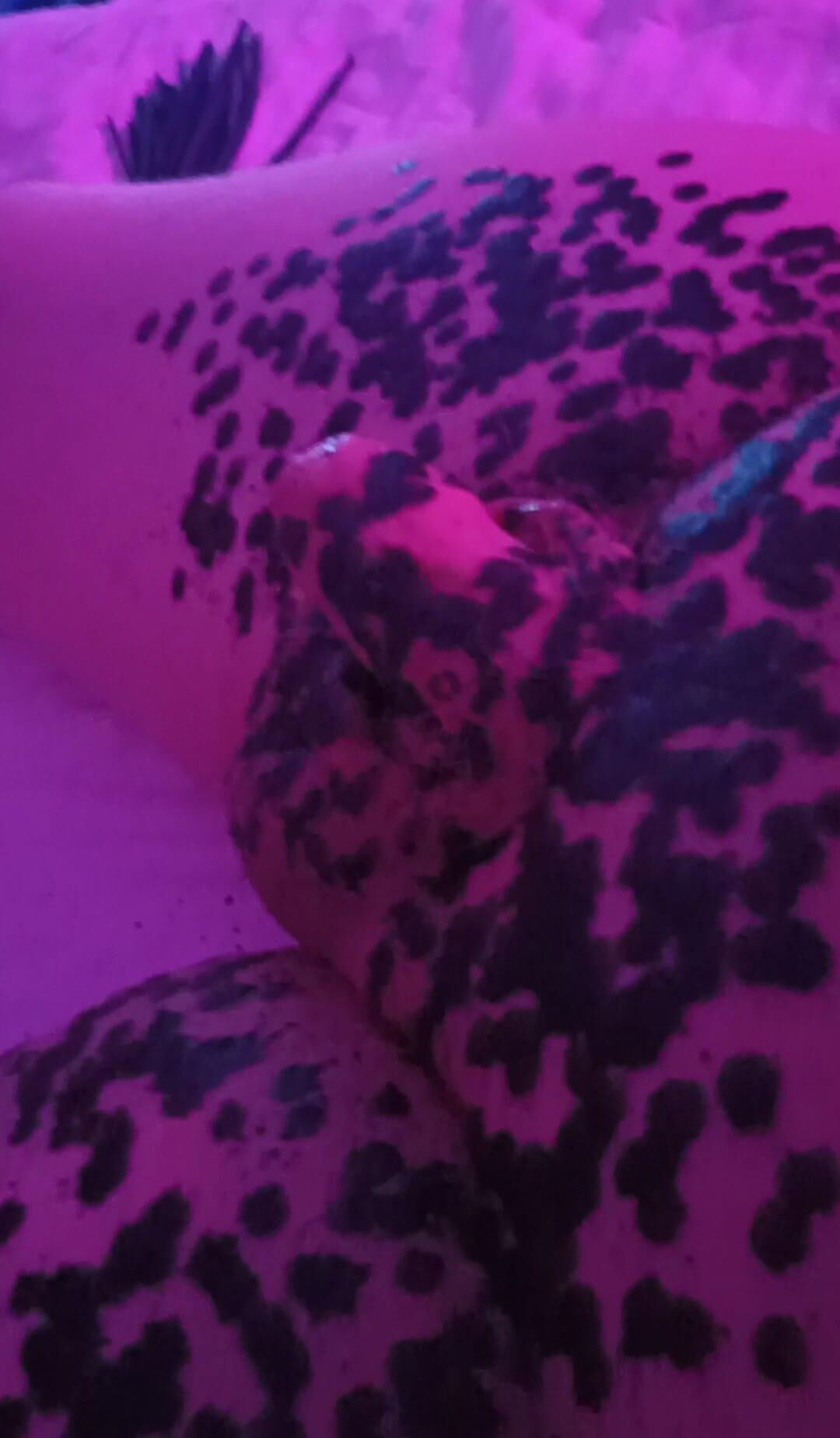 Femboy -Sitzung mit Herrin / Wachs Play / Anal Play / Kragen