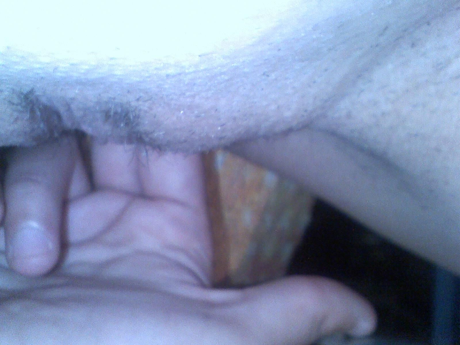 Muschi Amateur