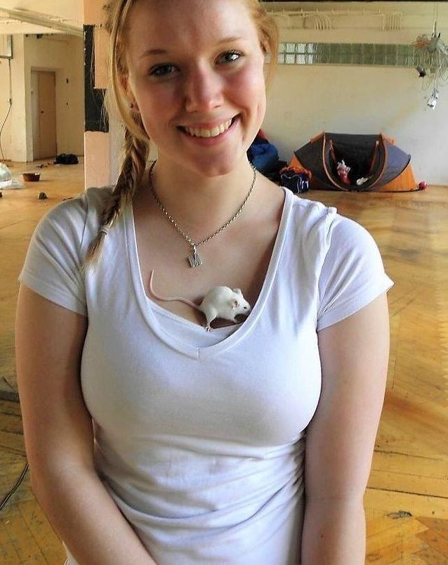 different german sluts amateur expossed