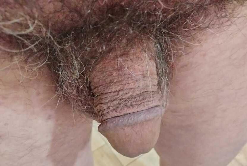 minuscule petit pénis