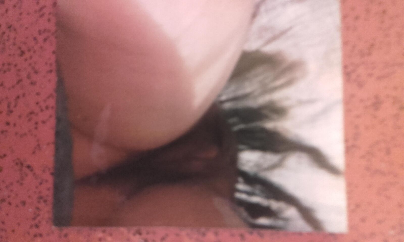 GFS古い写真を仲間