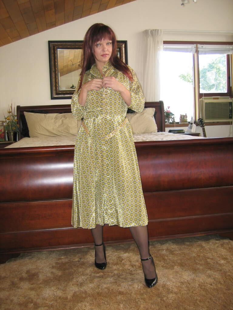 Scarlett s Silk Dress