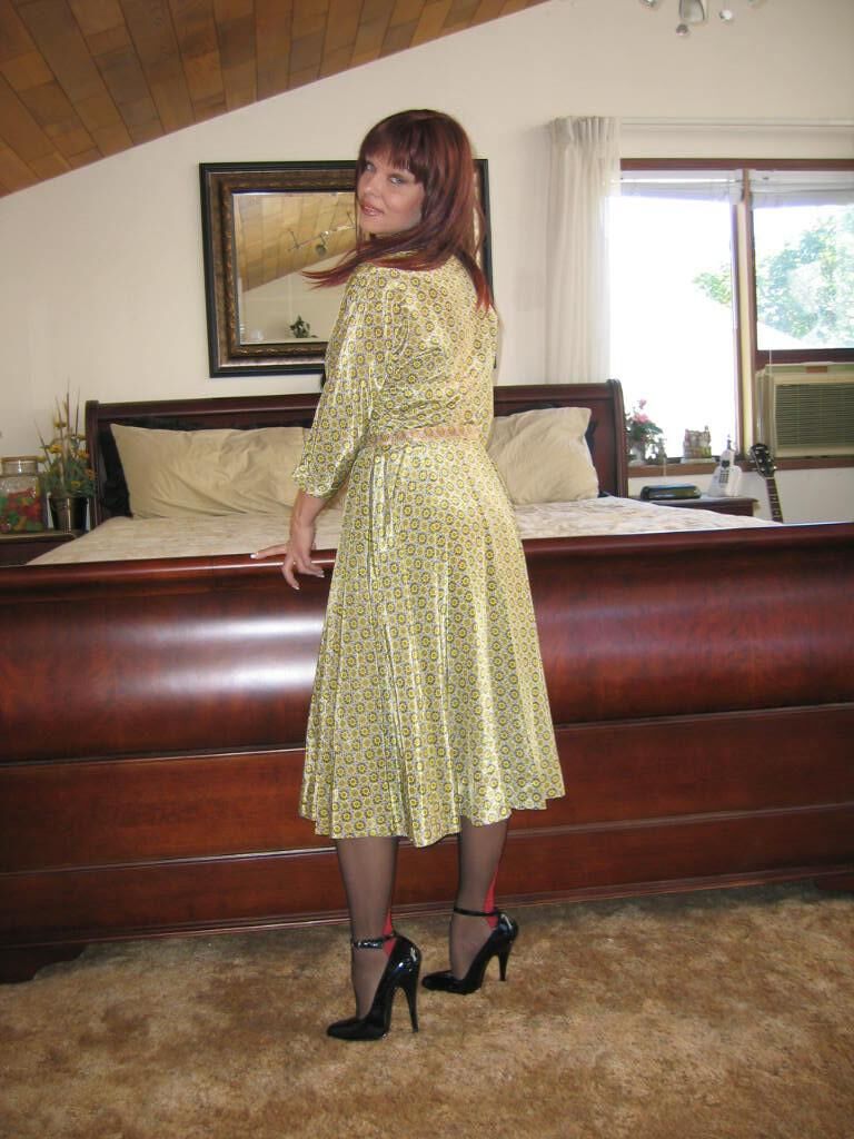Scarlett s Silk Dress