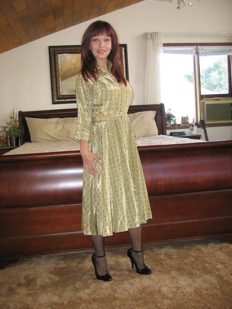 Scarlett s Silk Dress