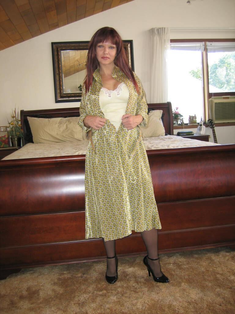 Scarlett s Silk Dress